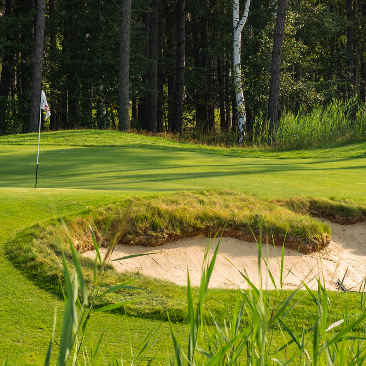 golf course