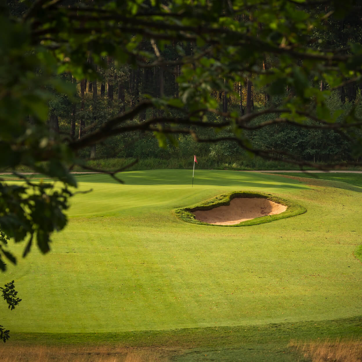 golf course
